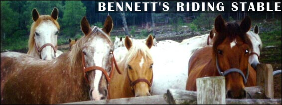LAKE GEORGE HORSES AT BENNETT'S RIDING STABLES on of the Lake George attraction